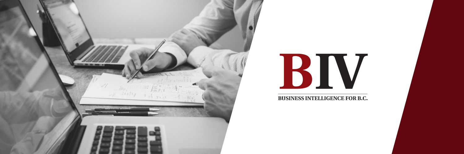 BIVnews's profile banner image