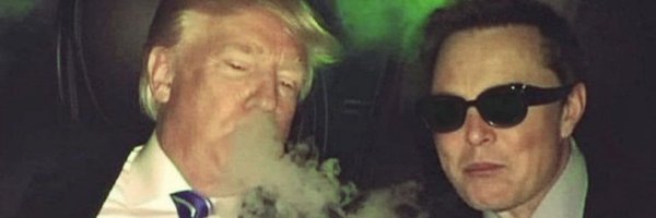 Sephanade Profile Banner