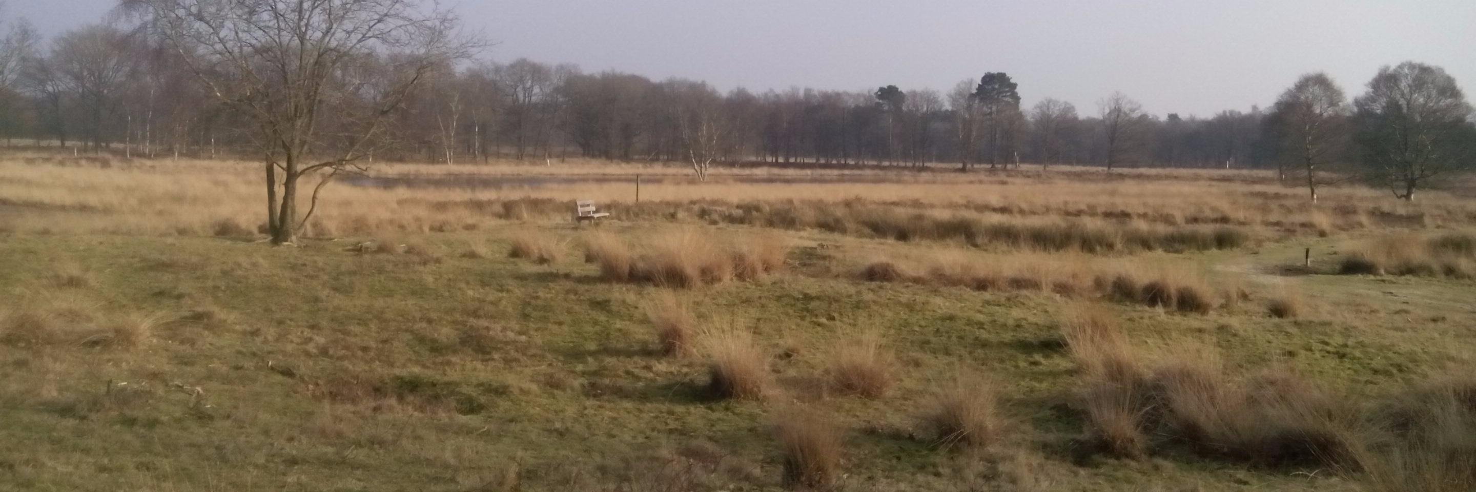 Boelem de Roo banner