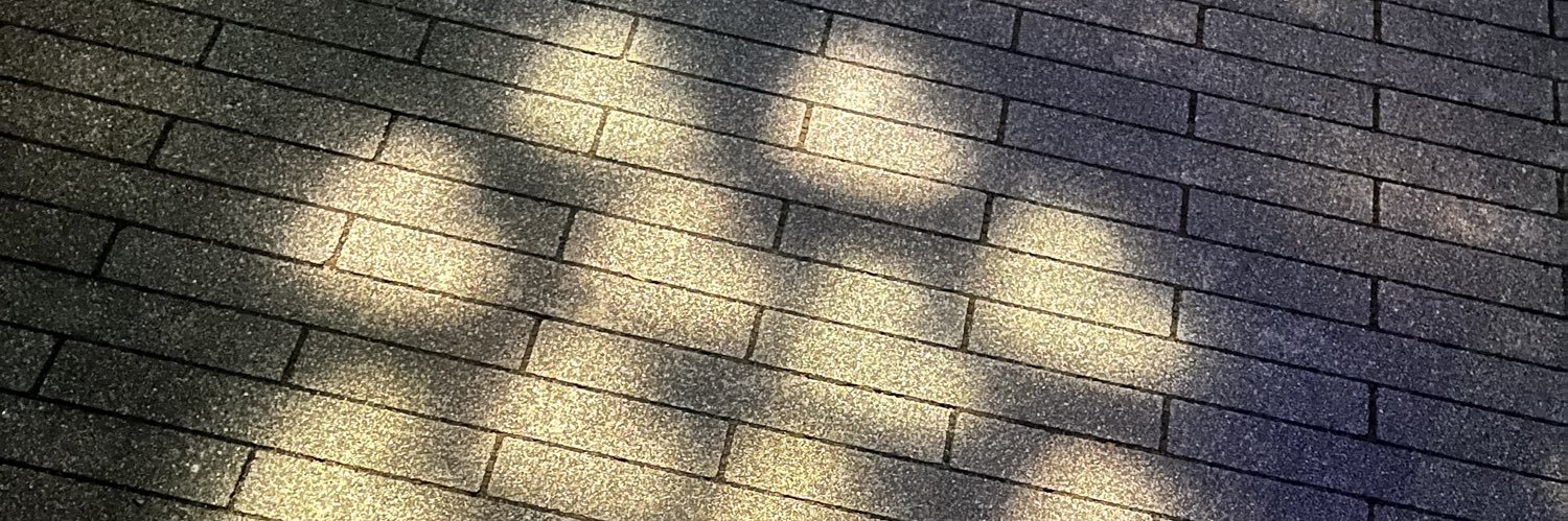 りずむ૮ ․ ․ ྀིა banner