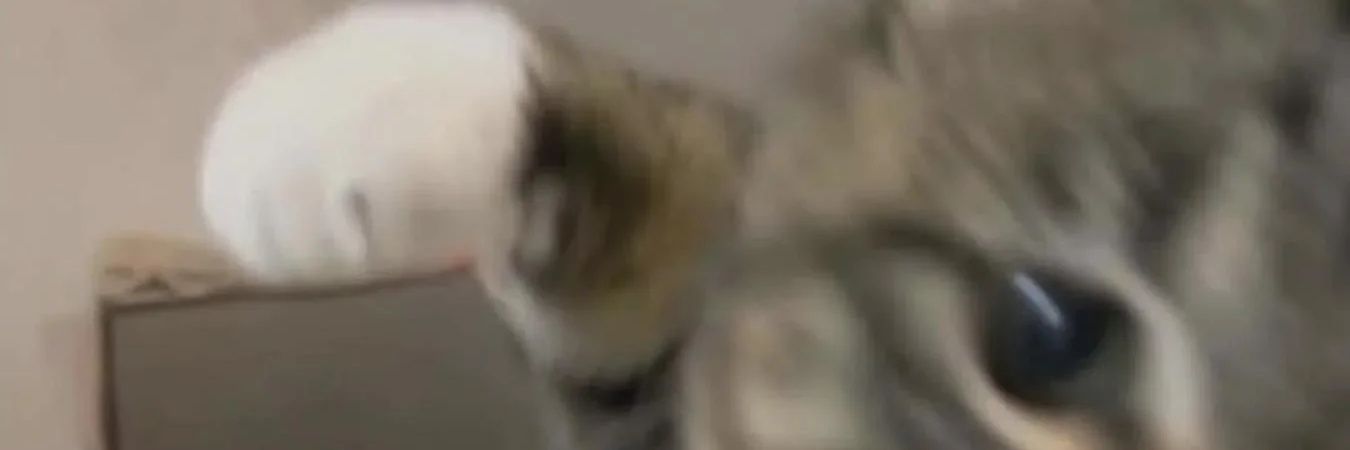 Hill Belichick 🇺🇦 banner