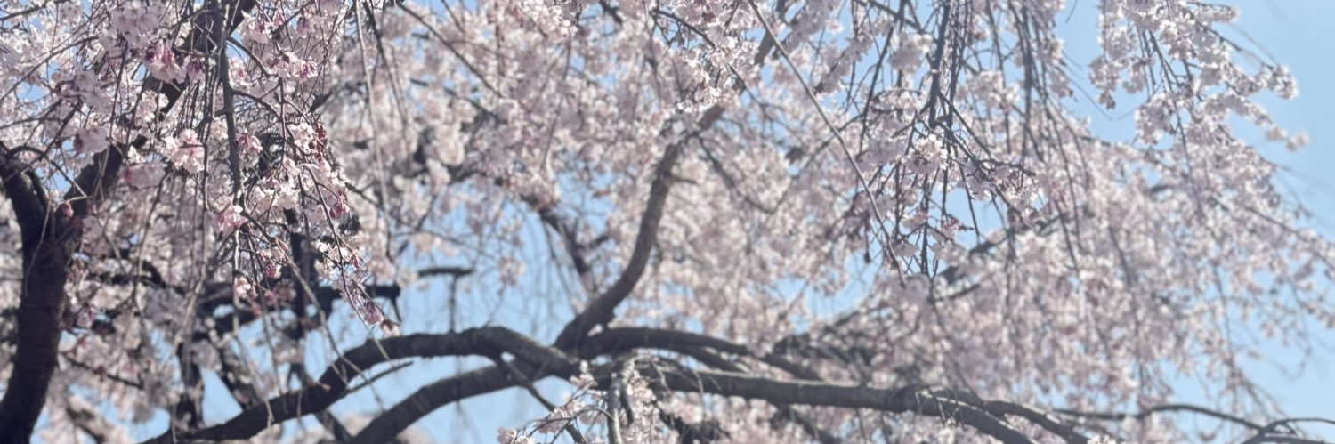 ナナ banner