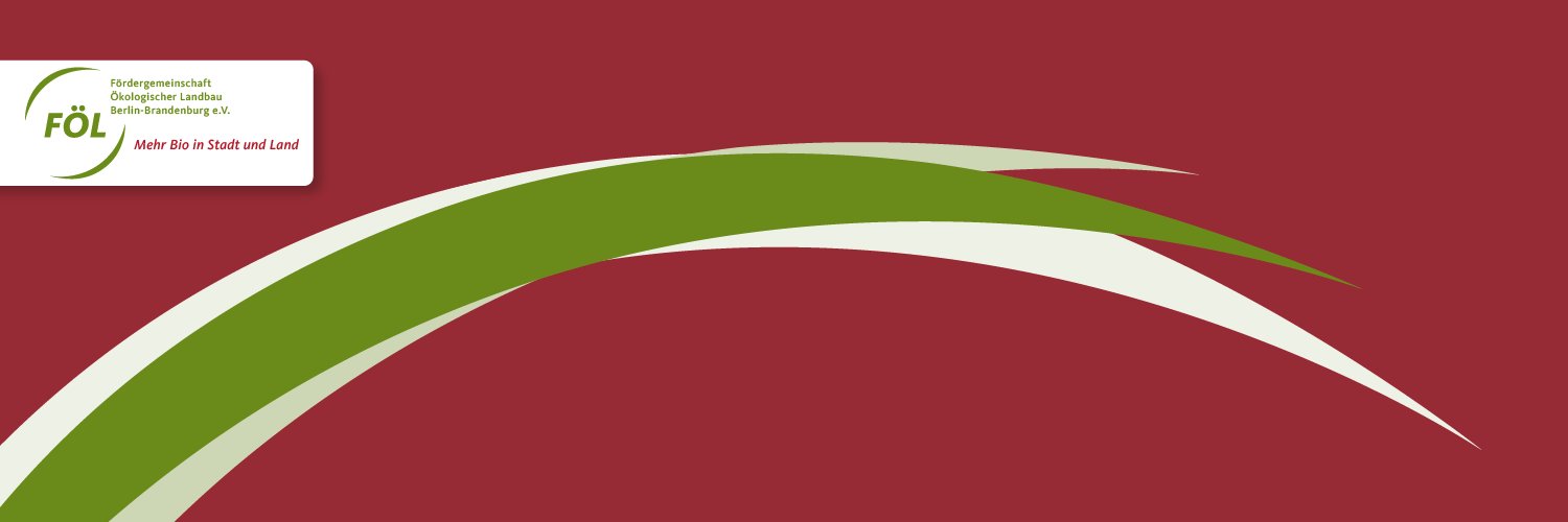 foelev's profile banner image