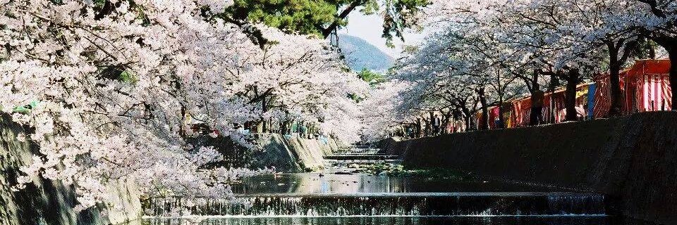 haruyo_25's profile banner image