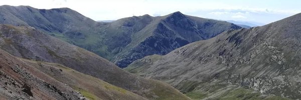 irigvinyet Profile Banner