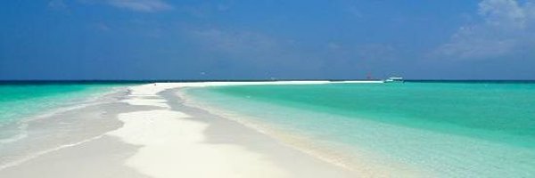 Fenna0074 Profile Banner