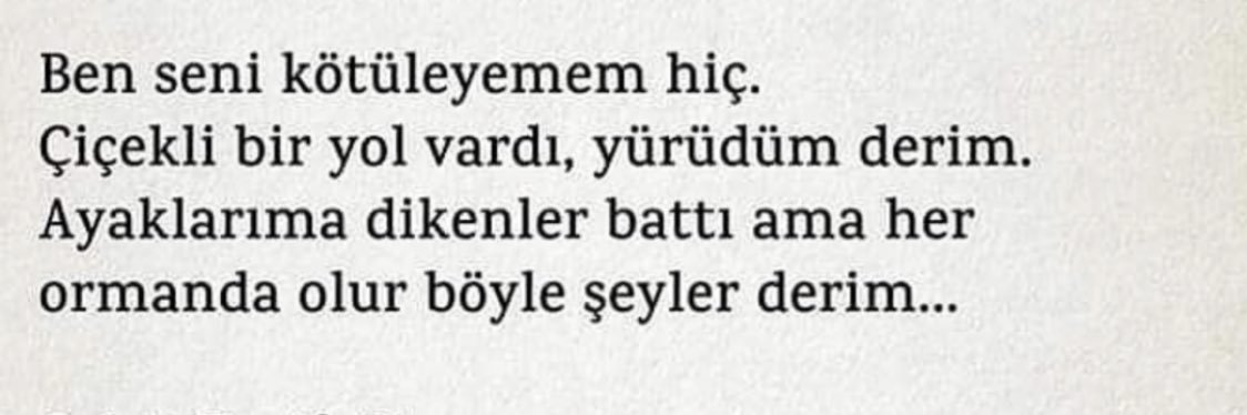 Buse Geçdoğan banner