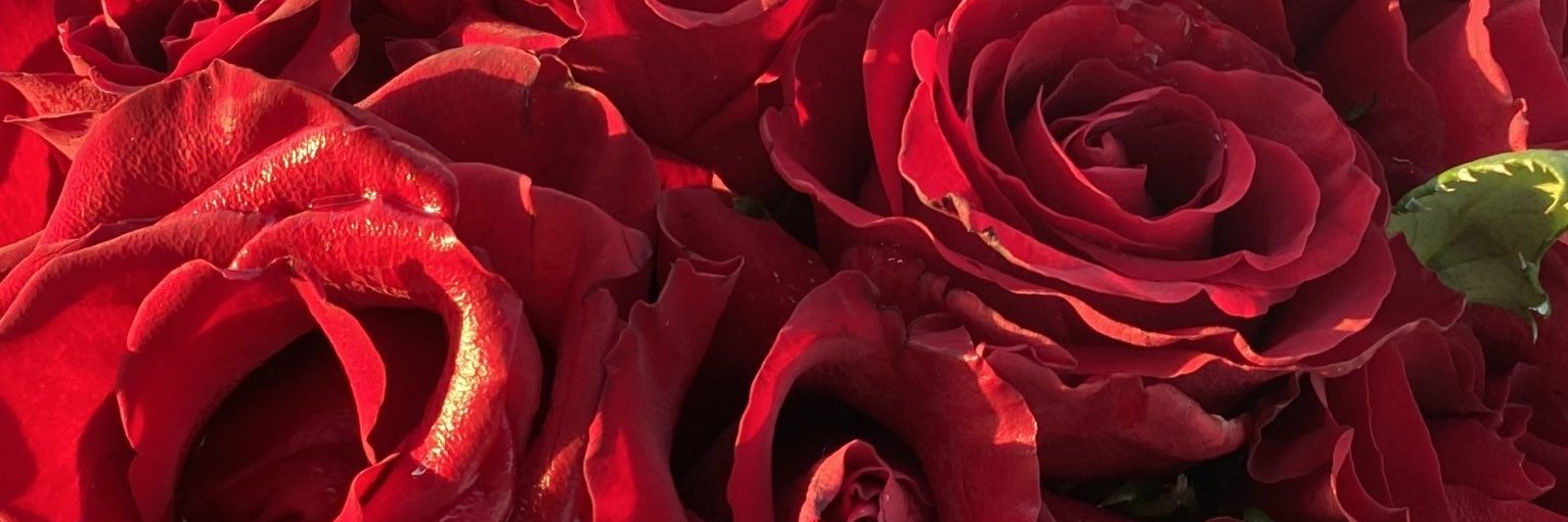 azzanmubarak's profile banner image