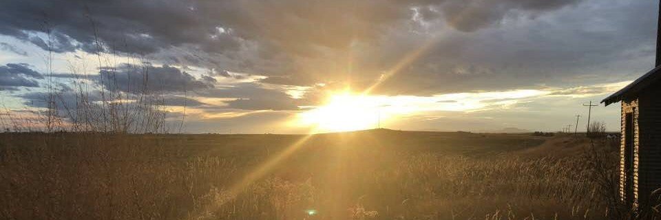 tktman373's profile banner image