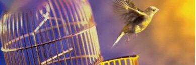 mome88776's profile banner image