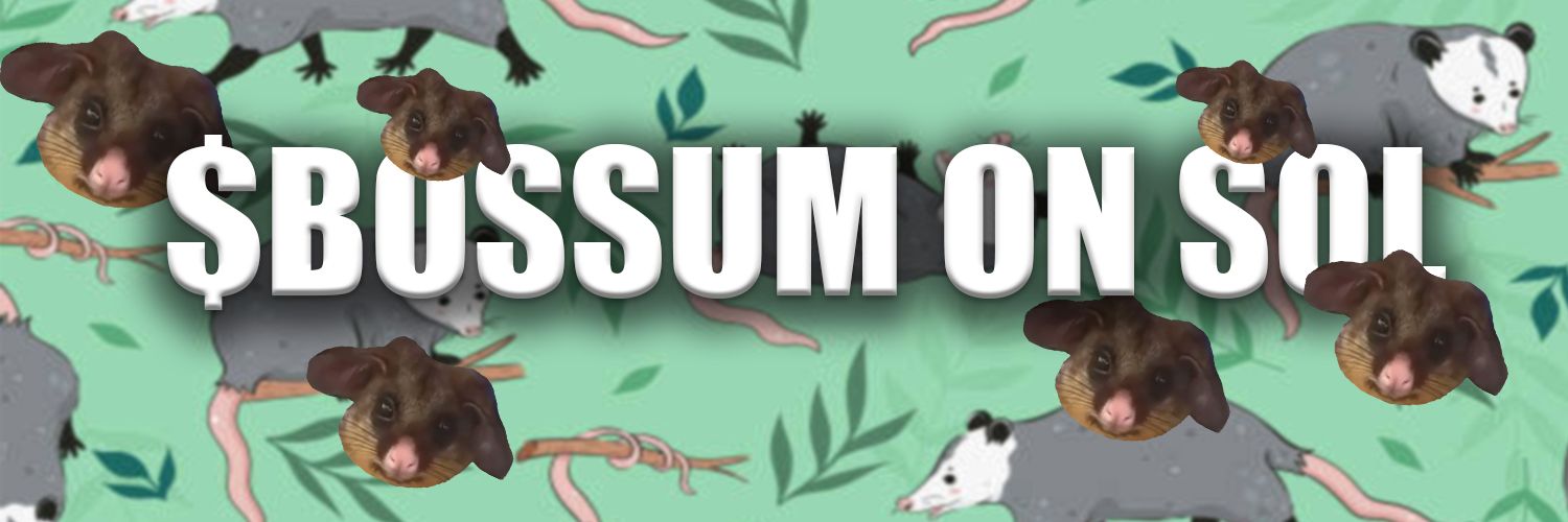 beerpossum's profile banner image