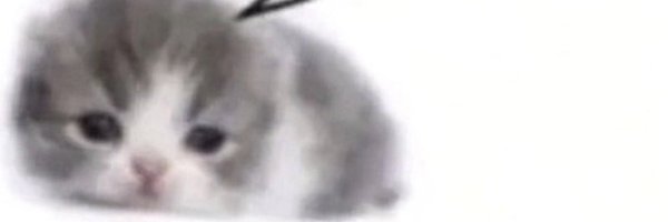 ahhhcryptoblows Profile Banner
