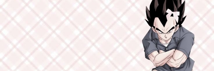 mr. zludeq 𝜗𝜚 banner