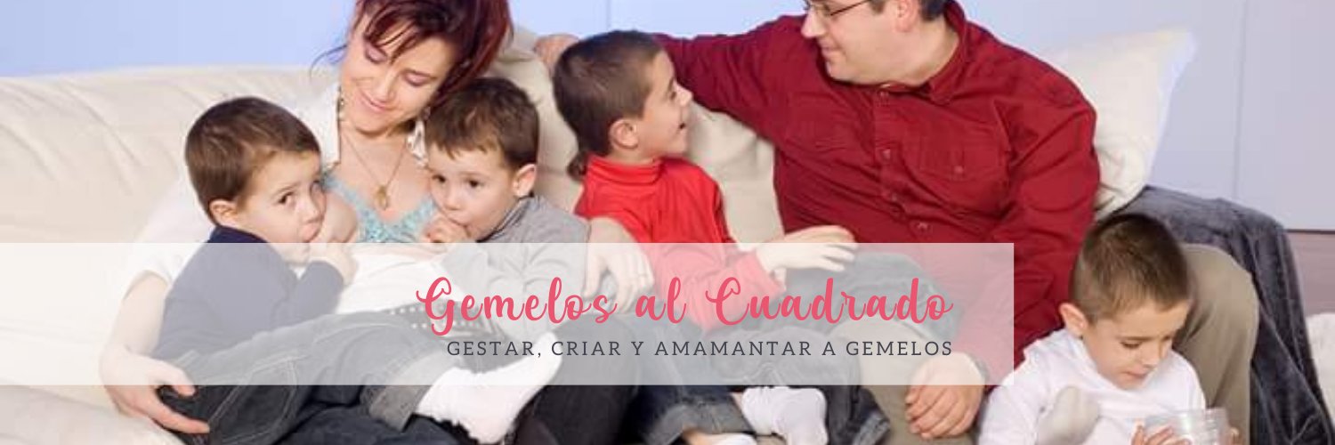 Misgeminis's profile banner image