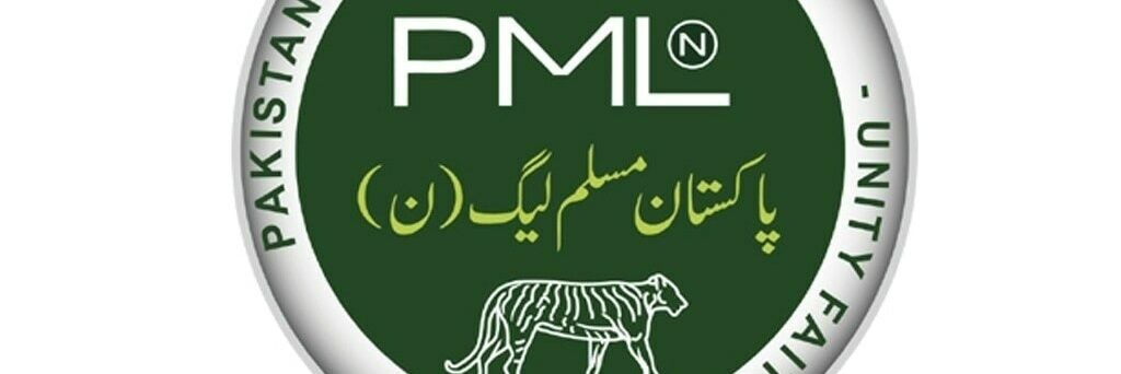 PMLN+Ve's banner