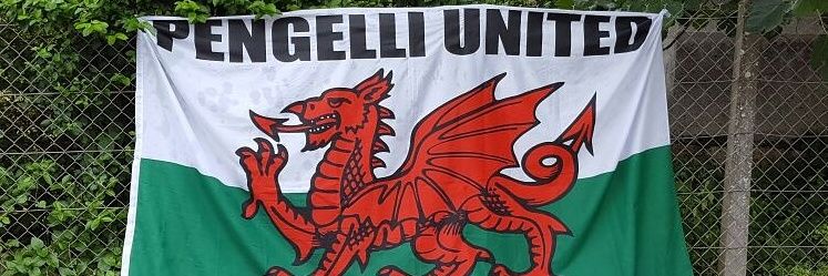 PengelliUnited's profile banner image