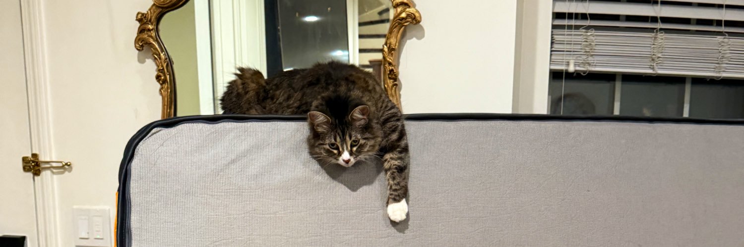 katzicle's profile banner image