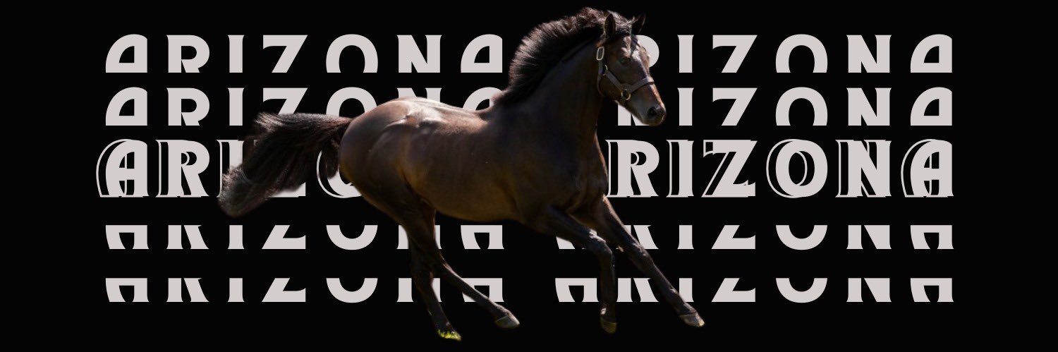 ARIZONA by No Nay Never banner