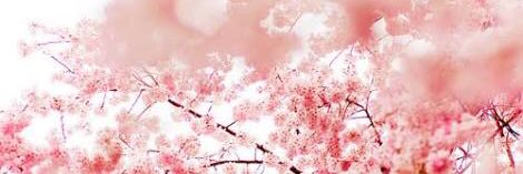 cat0326's profile banner image