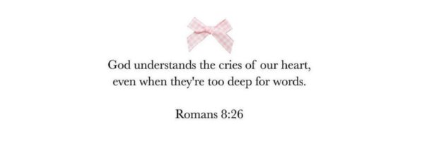 dolliects Profile Banner