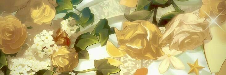 aster 𖤓's banner