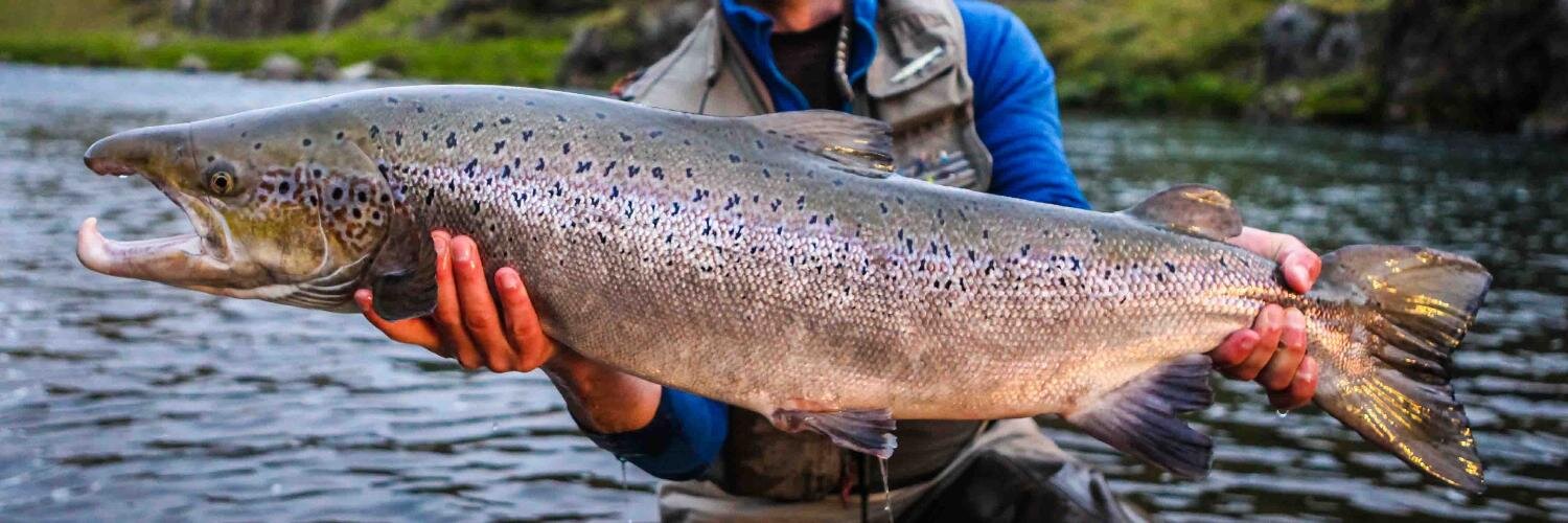 icelandangling's profile banner image
