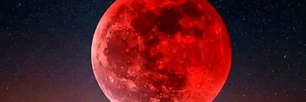 adexify's profile banner image