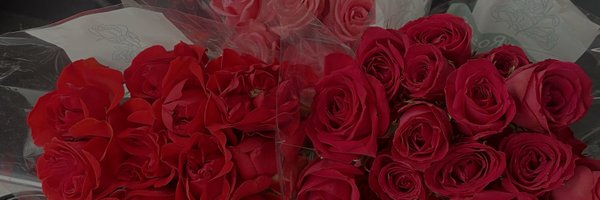 Siaikoo Profile Banner