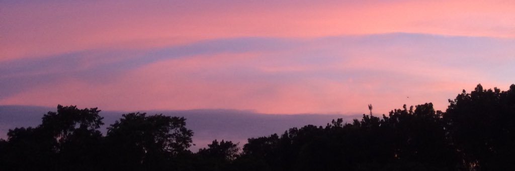 kristineneeve's profile banner image