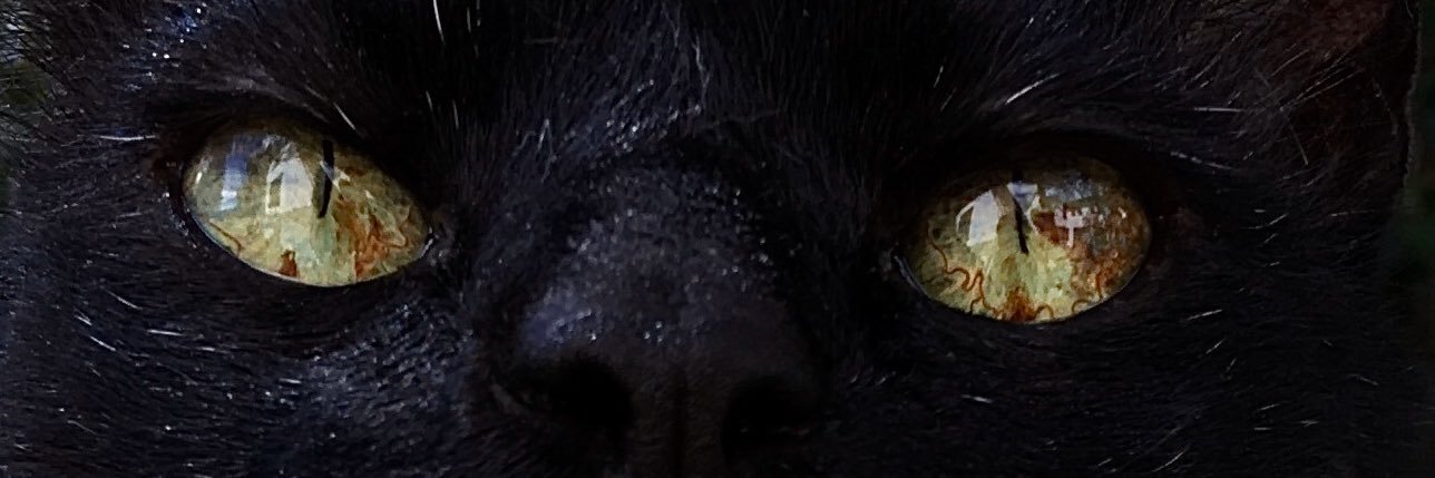 micarssa's profile banner image