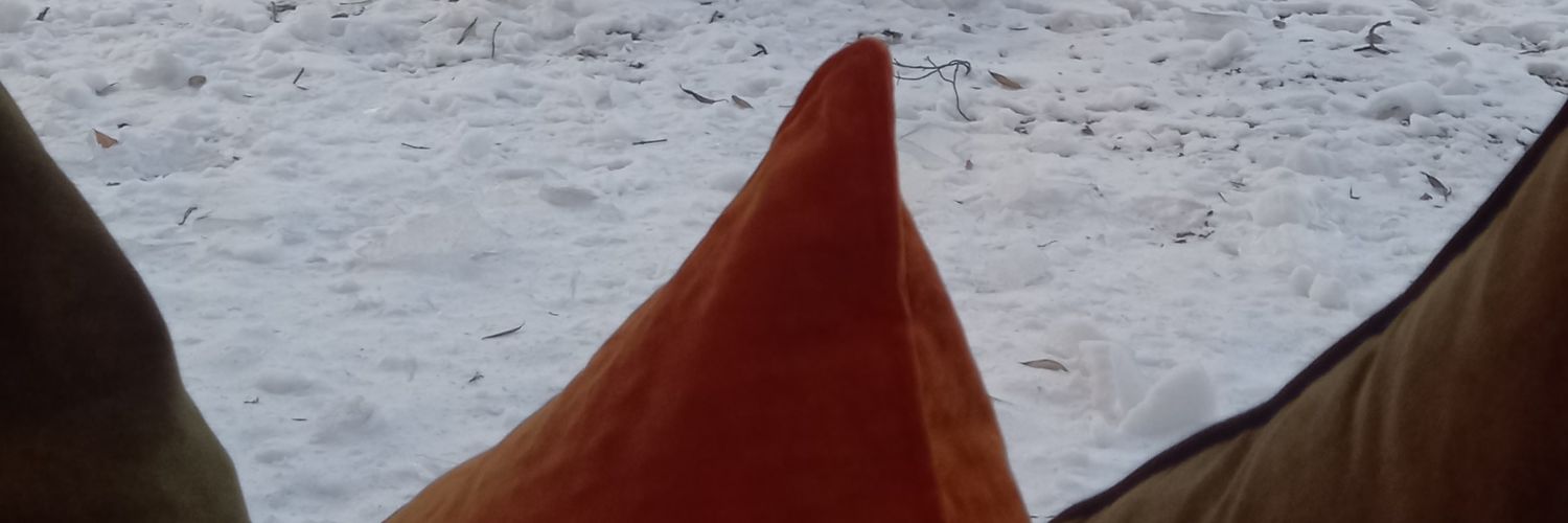 veter_v_ive's profile banner image