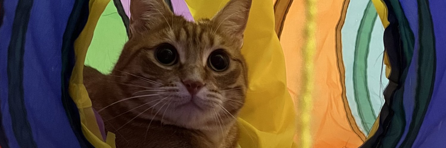 LimonAtaLimoncu's profile banner image