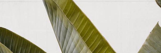 beyzinan's profile banner image
