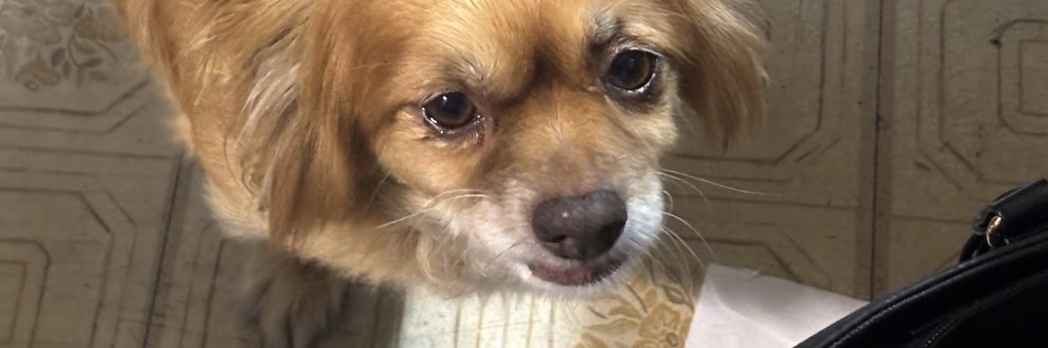 MissMamas84's profile banner image