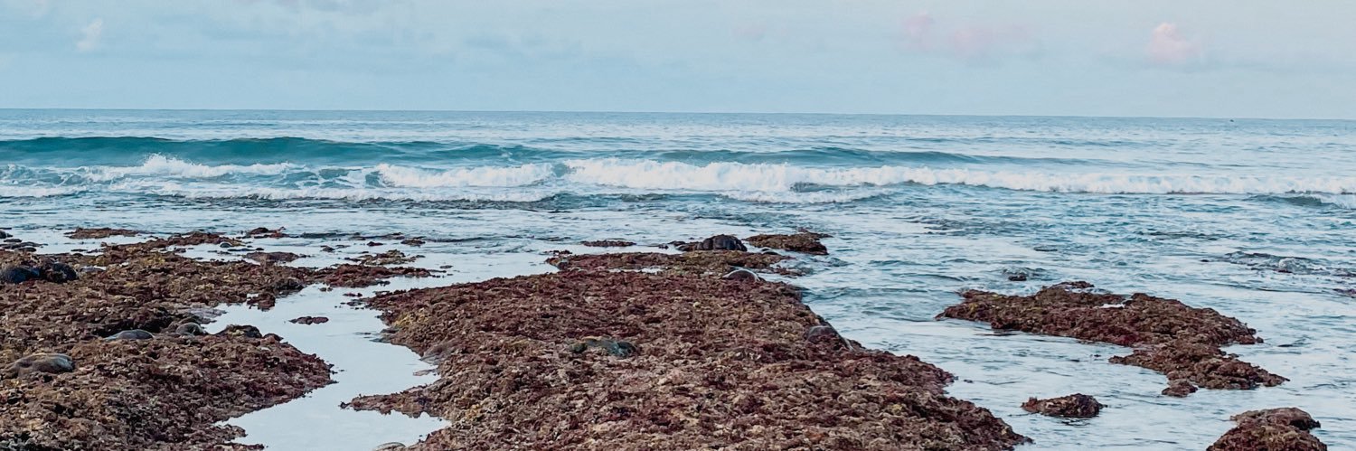 airednauya's profile banner image