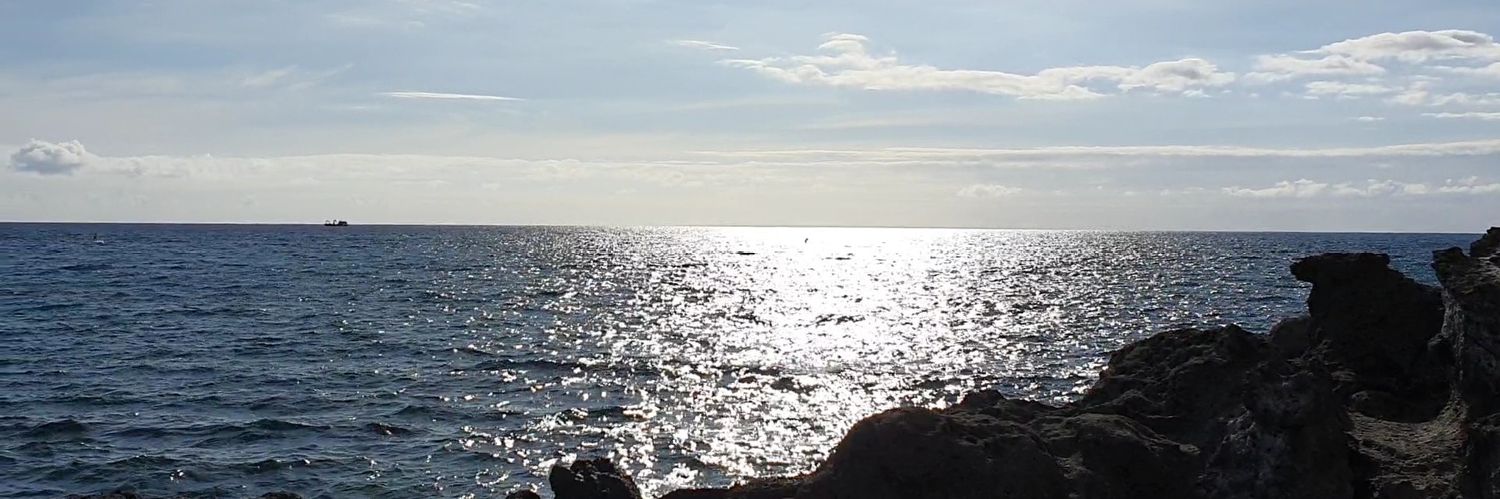 Erictijger's profile banner image