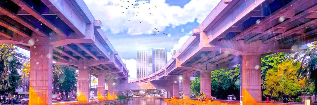 Ninendia's profile banner image