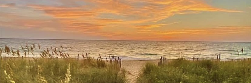 David Waeschle banner