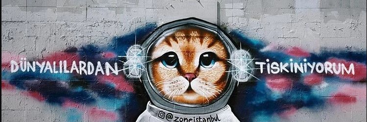 cok_ciddi's profile banner image