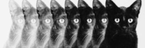 arxintwt's profile banner image