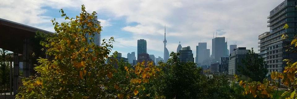 jefffeiner's profile banner image