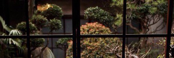 leit Profile Banner