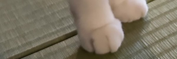 42O_LOVE Profile Banner