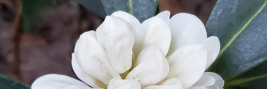 msstahlesclass's profile banner image