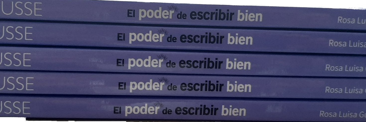 Rosa Luisa Guerra banner