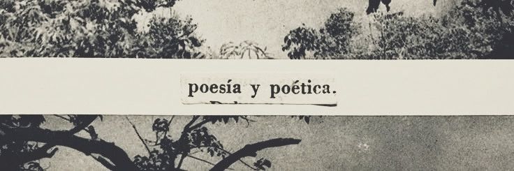 𓆩𓆪 banner