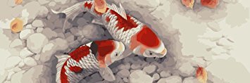 Choke_555's profile banner image