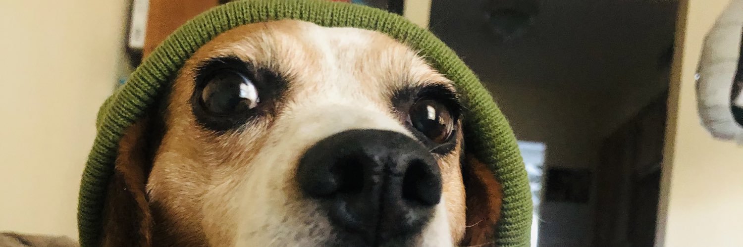 michaelarae95's profile banner image