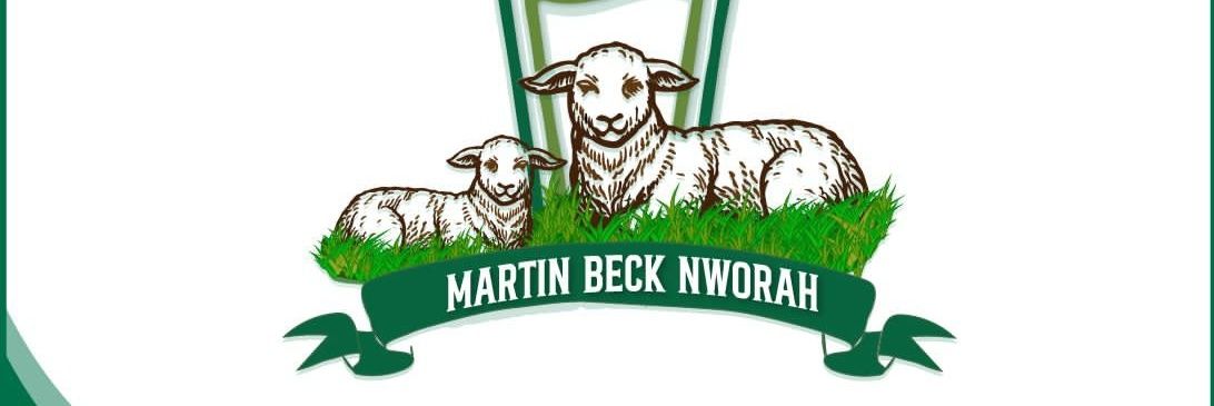 Martin Beck Nworah banner