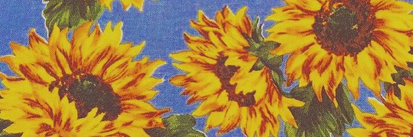 _mronchan Profile Banner